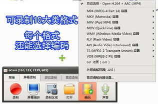 錄屏小將OCam 全能錄屏截圖錄音，專業攝影服務一應俱全